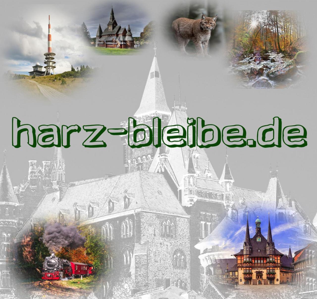 Harz-Bleibe Wernigerode Appartement Buitenkant foto